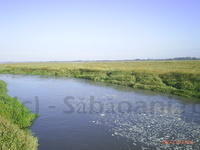 PIC 0558