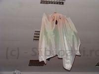 DSCF1059.JPG