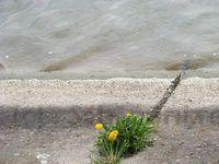DSCF0164.JPG