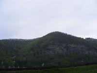 DSCF0327.JPG