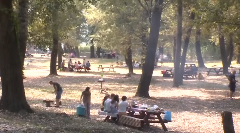 Această imagine are atributul alt gol; numele fișierului este picnic-cu-mici.jpg